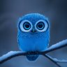 Soulmate profil fotoğrafı