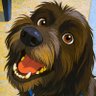 Profilbild von El perro de Nico 👓⭐️⭐️⭐️