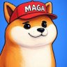 Doge Enthusiast 的头像