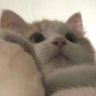 Profilbild von ヤス