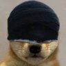 Profilbild von cK