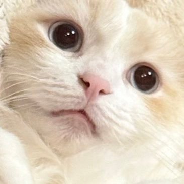 sanoji201's profile picture