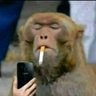 Esteban_B03's profile picture