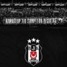 Profilbild von Alican Çöloğlu