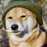 Profilbild von BoredomAndCameras