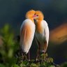 Xanadu 🇺🇸世外桃源🍀🌻🍒 profil fotoğrafı
