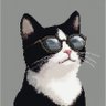 あらかん | PdM profil fotoğrafı