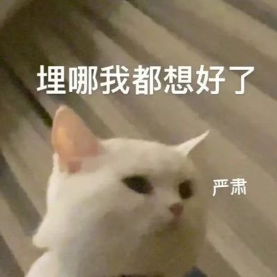 Somnua1's profile picture