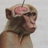 el vergon's profile picture
