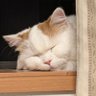 ユディ profil fotoğrafı