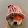 pengci.eth(🔴,💊) profil fotoğrafı