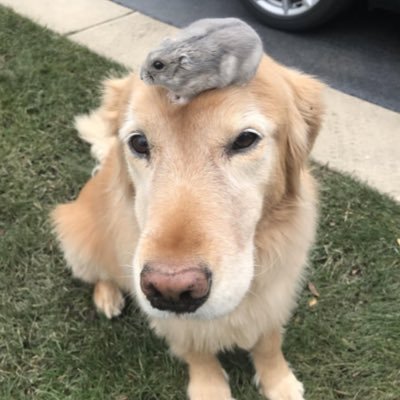 𝗰𝘂𝗽𝗶𝗱's profile picture