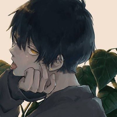 quo0ry's profile picture