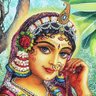 Tanish rajak's profile picture