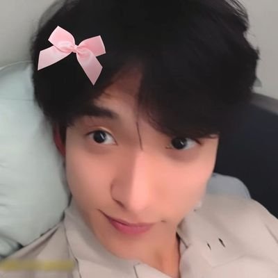 lyscripts's profile picture