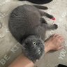 PEI's profile picture