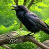 Фото профиля XEMSKU