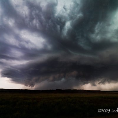 Jadestormchase's profile picture