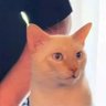 beto's profile picture