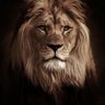 Marco Aurelio's profile picture