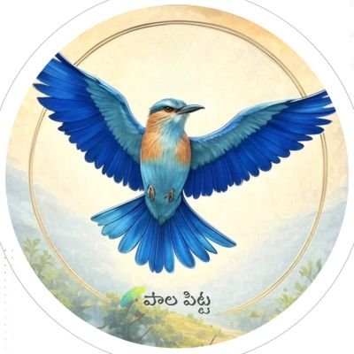 Paala_Pitta's profile picture