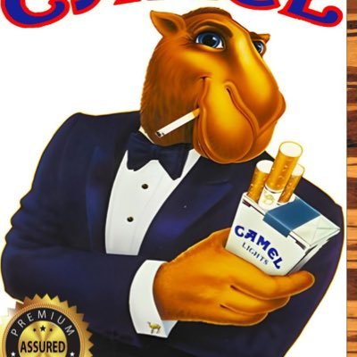 BoringDadBro's profile picture