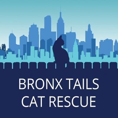 Bronx_119648's profile picture