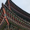 Фото профиля genericnews101
