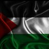 علي طواف .. 的头像