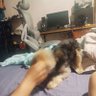 luke 的头像