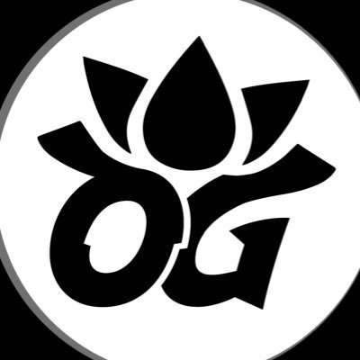 OptimistGrind's profile picture