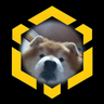 Profilbild von Captain Bark 🫡
