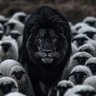 ابو اسد 的头像