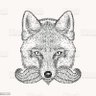 Cernan's profile picture