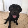 Фото профиля Max ☘️
