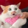 Bruce_Leeroy_'s profile picture