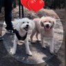 Universe Lover's profile picture