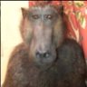 Profilbild von mamaco