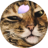 ЀПÑП пÑПÑÐžÐ»Ñ ãããâïžðžð§ïž