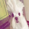 rodge's profile picture