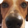 Joaco33's profile picture