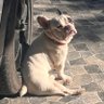 Mindgrain 🐣🌭🍓🌽🍢 profil fotoğrafı