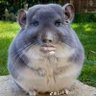 Ray's profile picture