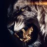M.N's profile picture