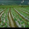 Фото профиля 略略略
