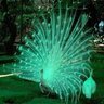 epmurali69's profile picture