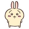 usagi 的头像