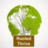 Rooted Thrive's profile picture