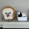 食ぱんだ profil fotoğrafı