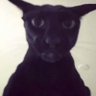 Profilbild von la malice